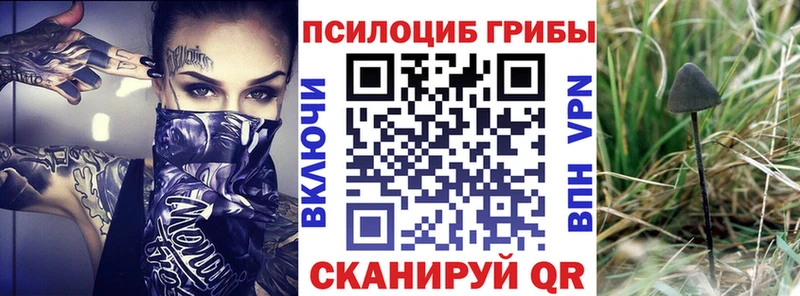 купить закладку  Кяхта  Галлюциногенные грибы Psilocybe 